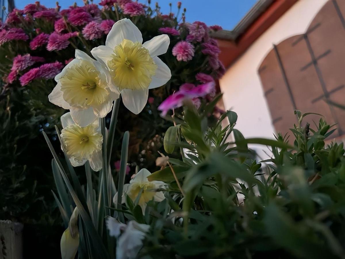 Casa Rural Vistablanca En Una Sola Planta Con Bonitas Vistas Y Piscina - Junto A La Capital Y La Alhambra Cenes De La Vega Exterior foto